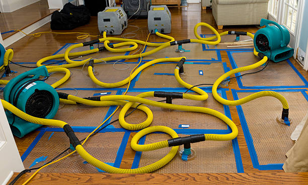 Professional Sewage Cleanup technician working in Middleboro, MA